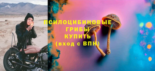 MDMA Инсар