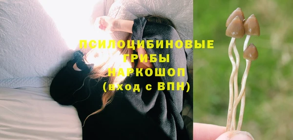 твердый Инта