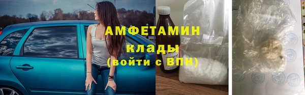 твердый Инта