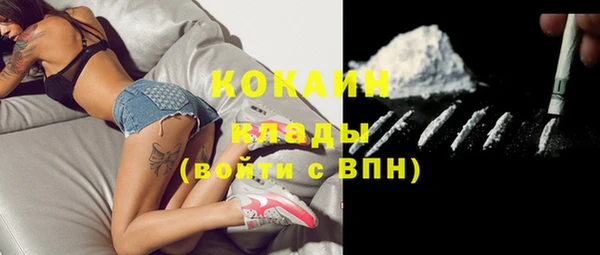 твердый Инта