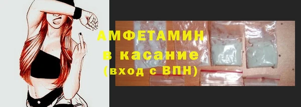 твердый Инта