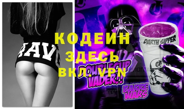 твердый Инта