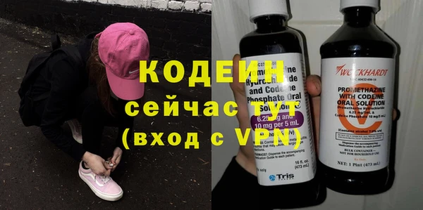 твердый Инта