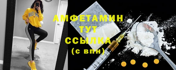 твердый Инта