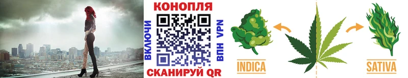 Каннабис марихуана Городовиковск